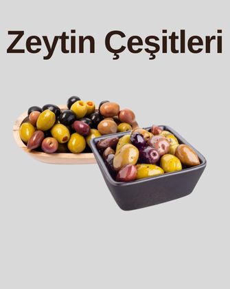 Zeytin Çeşitleri